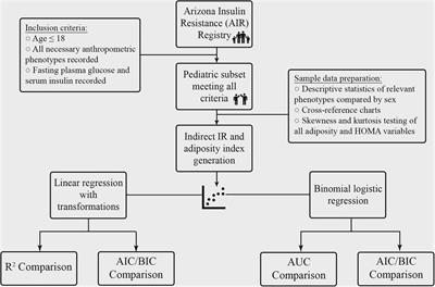 A performance review of novel adiposity indices for assessing insulin resistance in a pediatric Latino population